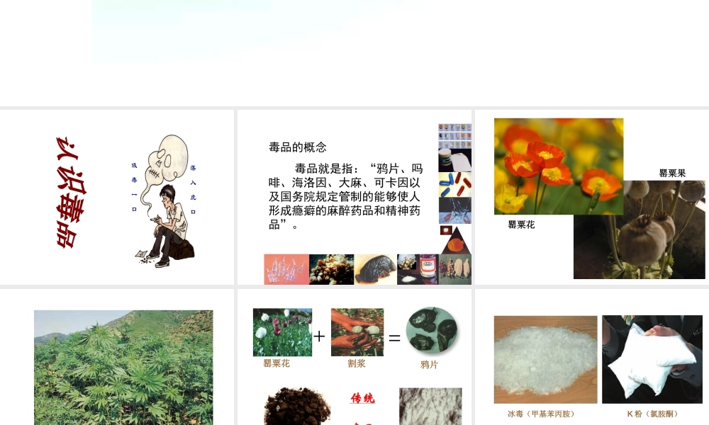 八年级生物下册 26.2 拒绝毒品课件 （新版）苏教版-（新版）苏教级下册生物课件