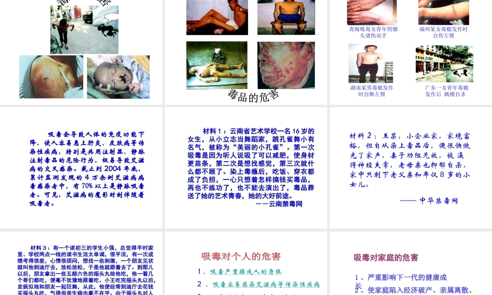 八年级生物下册 26.2 拒绝毒品课件 （新版）苏教版-（新版）苏教级下册生物课件