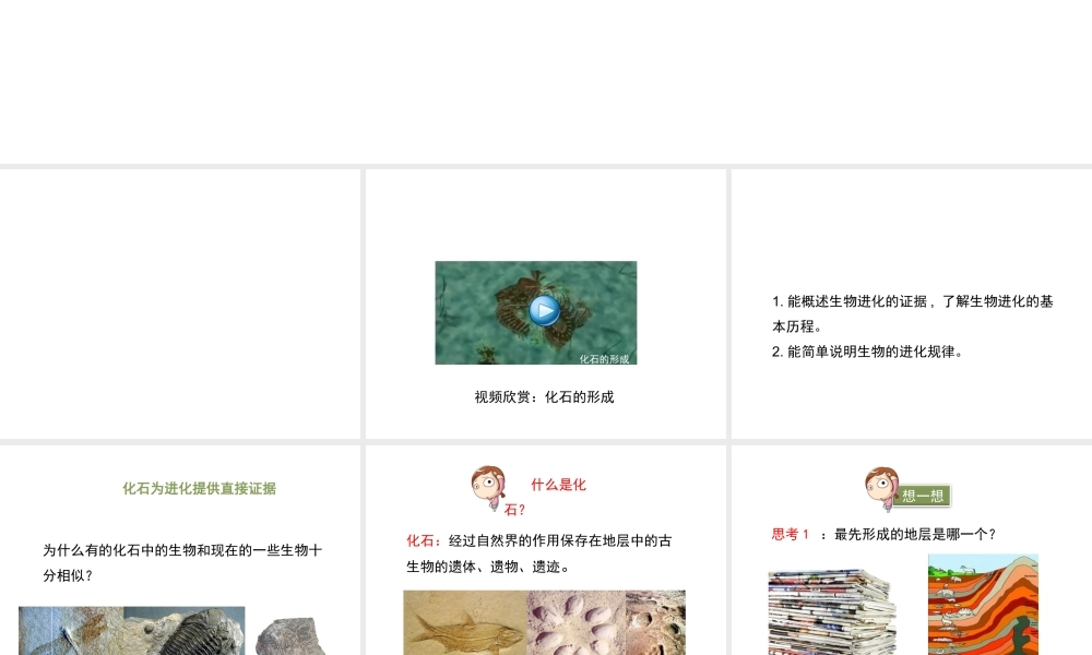 八年级生物下册 7.21.2《生物的进化》（第1课时）课件 北师大版-北师大级下册生物课件