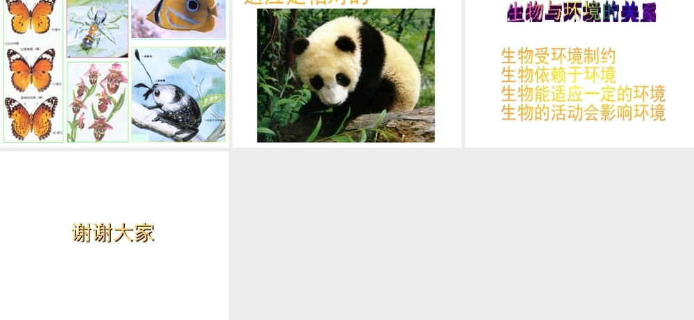 八年级生物下册 7.1.2 生物对环境的适应和影响课件 冀教版-冀教级下册生物课件