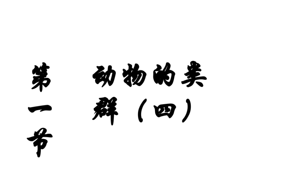 八年级生物下册 22.4《动物的主要类群》课件1 （新版）北师大版-（新版）北师大级下册生物课件