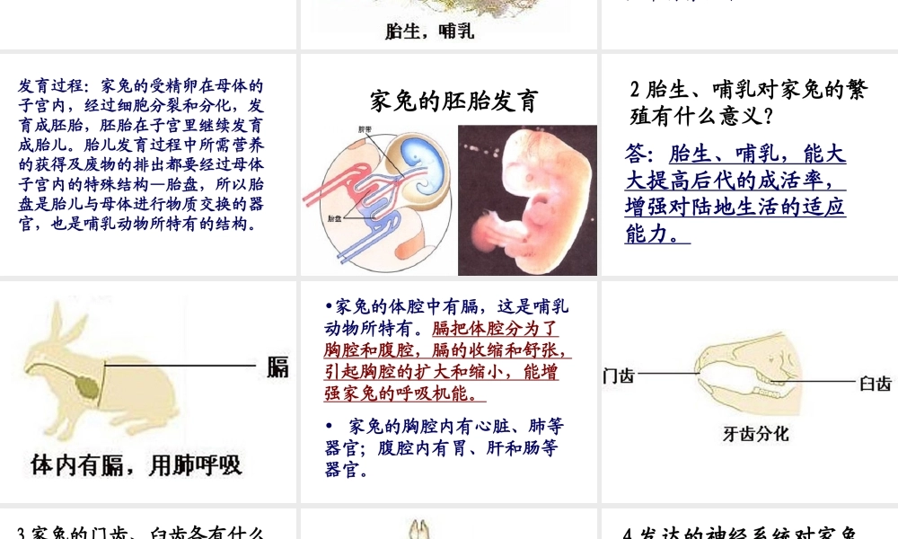 八年级生物下册 22.4《动物的主要类群》课件1 （新版）北师大版-（新版）北师大级下册生物课件