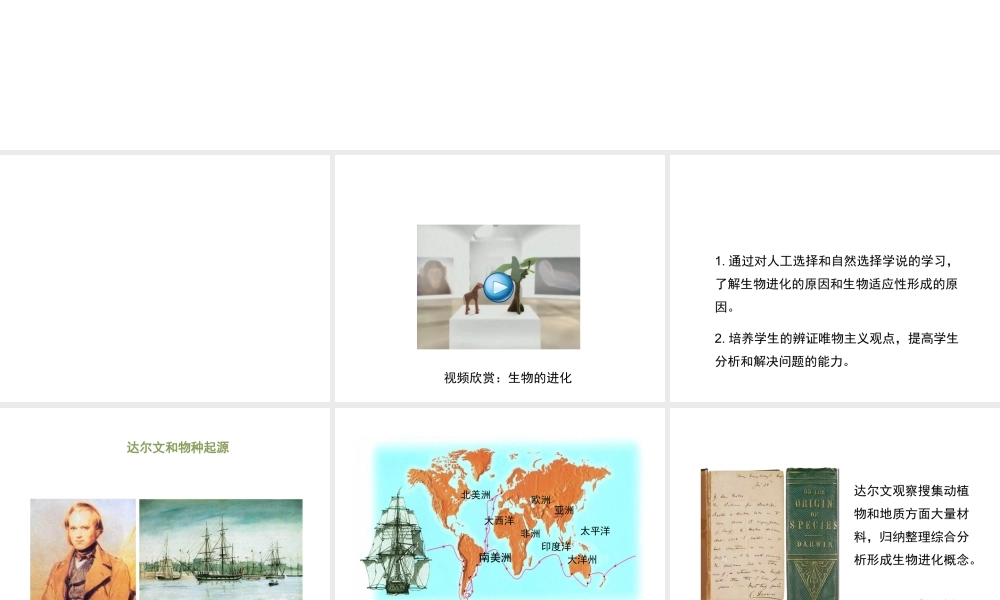 八年级生物下册 7.21.2《生物的进化》（第2课时）课件 北师大版-北师大级下册生物课件