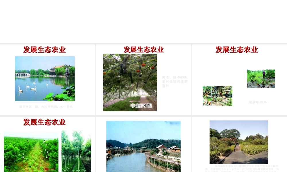 八年级生物下册 26.3《建设美好的家园》课件 苏科版