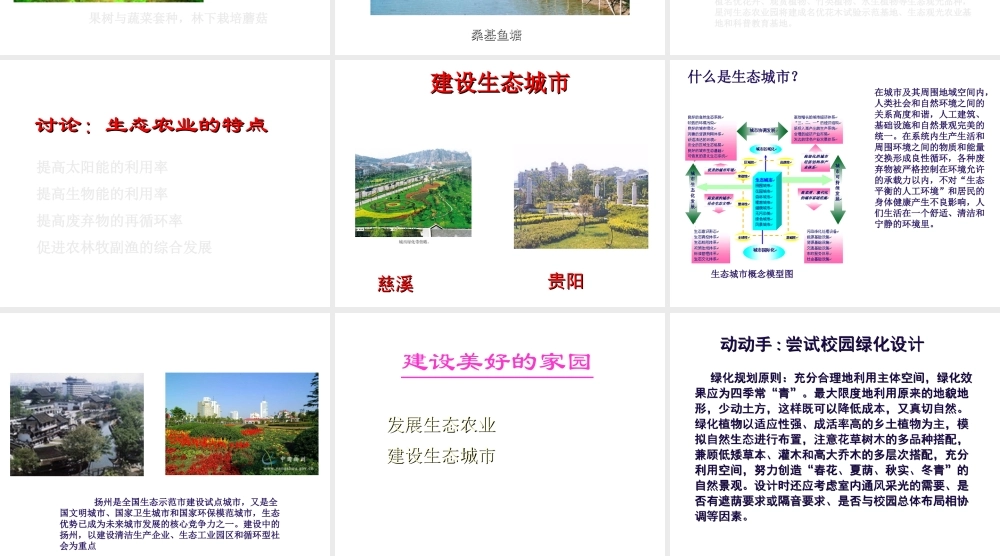 八年级生物下册 26.3《建设美好的家园》课件 苏科版