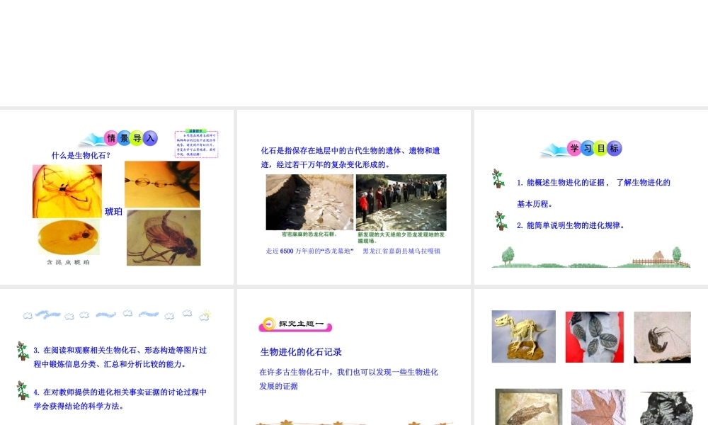 八年级生物下册 第21章 第2节 生物的进化（第1课时）课件 北师大版