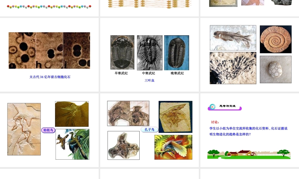 八年级生物下册 第21章 第2节 生物的进化（第1课时）课件 北师大版