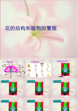 八年级生物下册 第4章 生物的类群 4.1 植物-花的结构和植物的繁殖课件 沪教版-沪教级下册生物课件