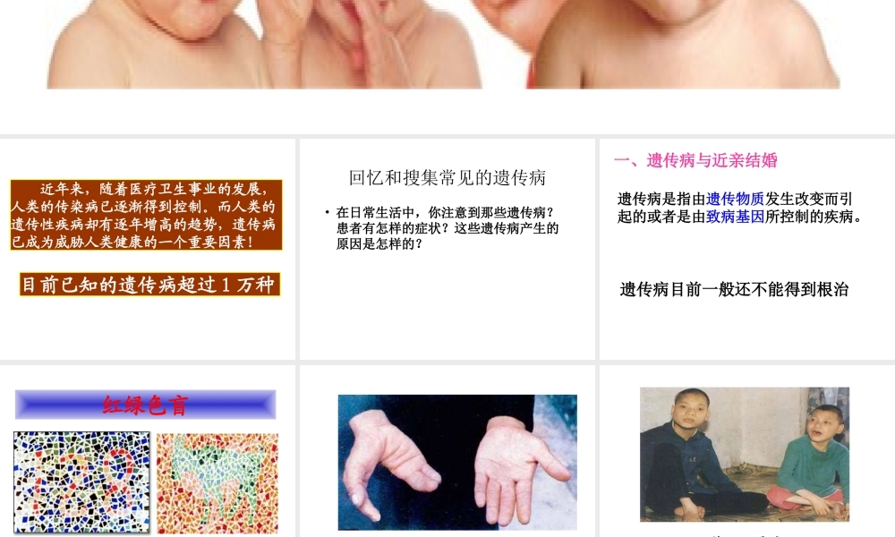 八年级生物下册 第4节 遗传病和优生优育课件 苏教版