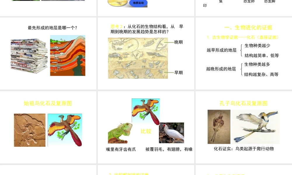 八年级生物下册 第21章 第2节 生物的进化（第1课时）课件 北师大版-北师大版初中八年级下册生物课件