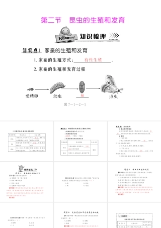 八年级生物下册 7.1.2《昆虫的生殖和发育》配套课件 人教新课标版