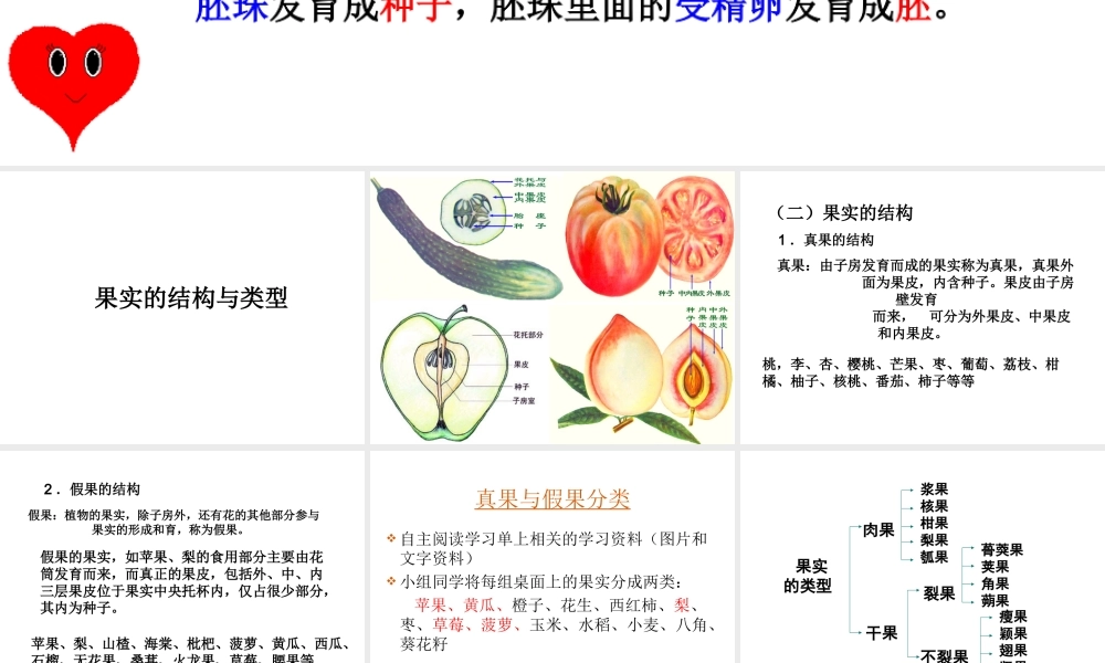 八年级生物下册 第4章 生物的类群 4.1 植物—果实的结构与类型课件 沪教版-沪教版初中八年级下册生物课件