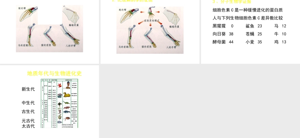 八年级生物下册 第21章 第2节 生物的进化（第1课时）课件 北师大版-北师大级下册生物课件