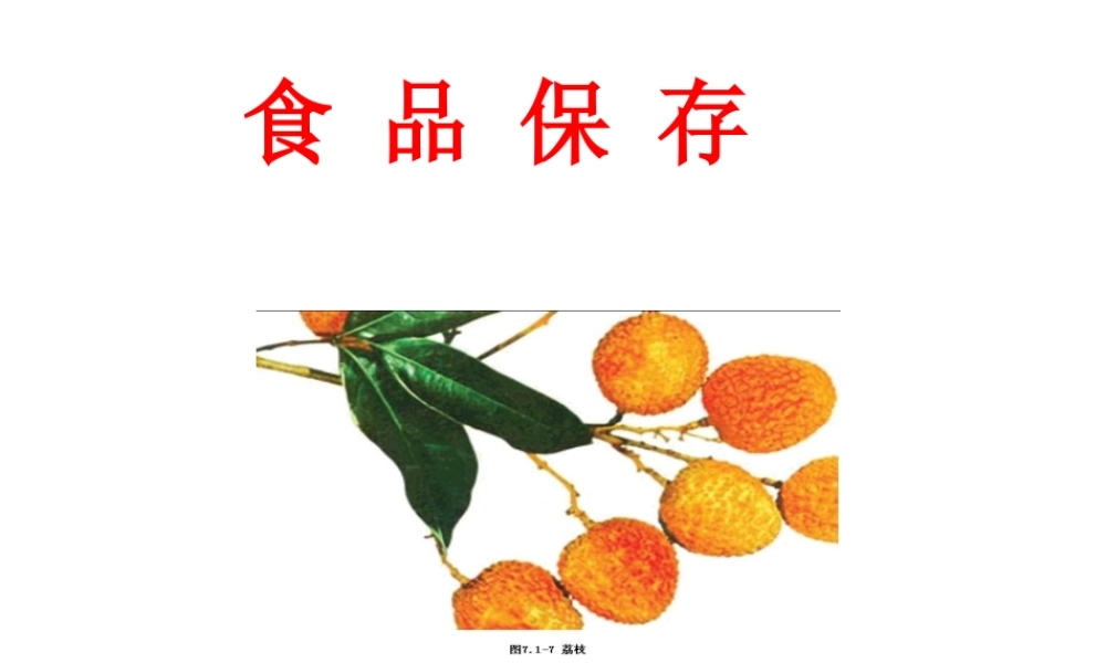 八年级生物下册 7.1.2《食品贮存》课件 济南版