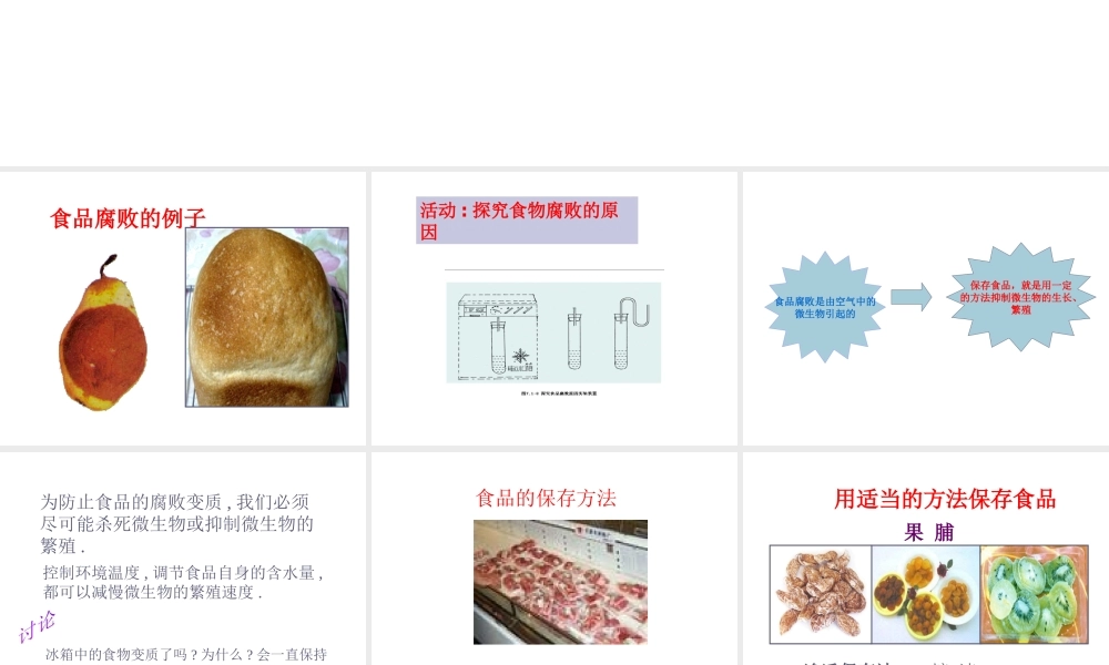 八年级生物下册 7.1.2《食品贮存》课件 济南版