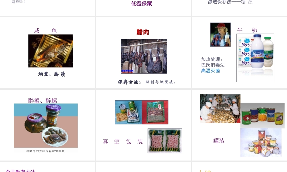 八年级生物下册 7.1.2《食品贮存》课件 济南版