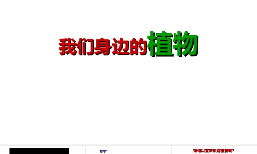 八年级生物下册 第4章 生物的类群 4.1 植物-我们身边的植物课件 沪教版-沪教级下册生物课件