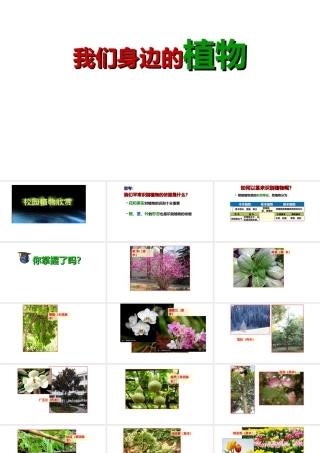 八年级生物下册 第4章 生物的类群 4.1 植物-我们身边的植物课件 沪教版-沪教级下册生物课件
