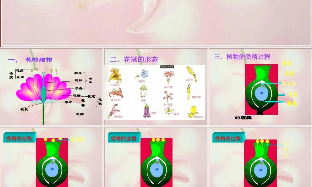 八年级生物下册 第4章 生物的类群 4.1 植物—花的结构和植物的繁殖课件 沪教版-沪教版初中八年级下册生物课件