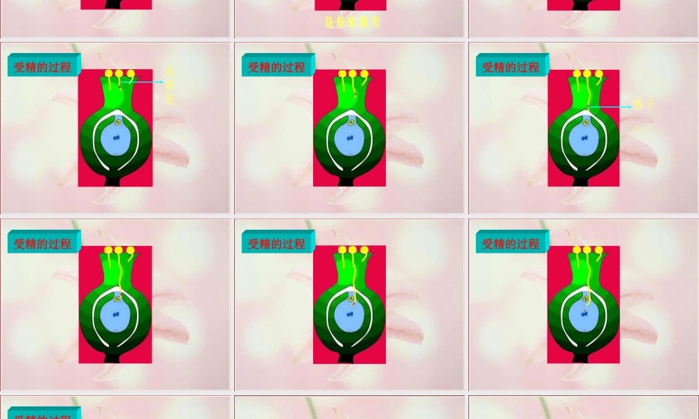 八年级生物下册 第4章 生物的类群 4.1 植物—花的结构和植物的繁殖课件 沪教版-沪教版初中八年级下册生物课件