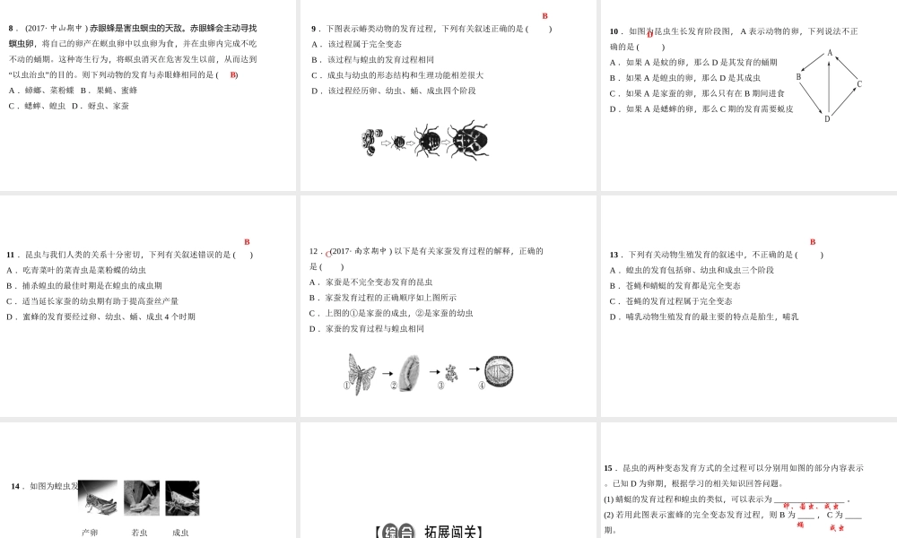 八年级生物下册 7.1.2昆虫的生殖和发育课件 （新版）新人教版-（新版）新人教版初中八年级下册生物课件