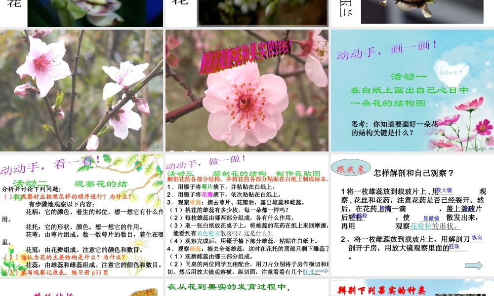 八年级生物下册 第4章 生物的类群 4.1 植物—解剖并观察花和果实的结构（实验）课件 沪教版-沪教版初中八年级下册生物课件