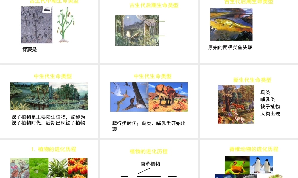 八年级生物下册 第21章 第2节 生物的进化（第2课时）课件 北师大版-北师大版初中八年级下册生物课件