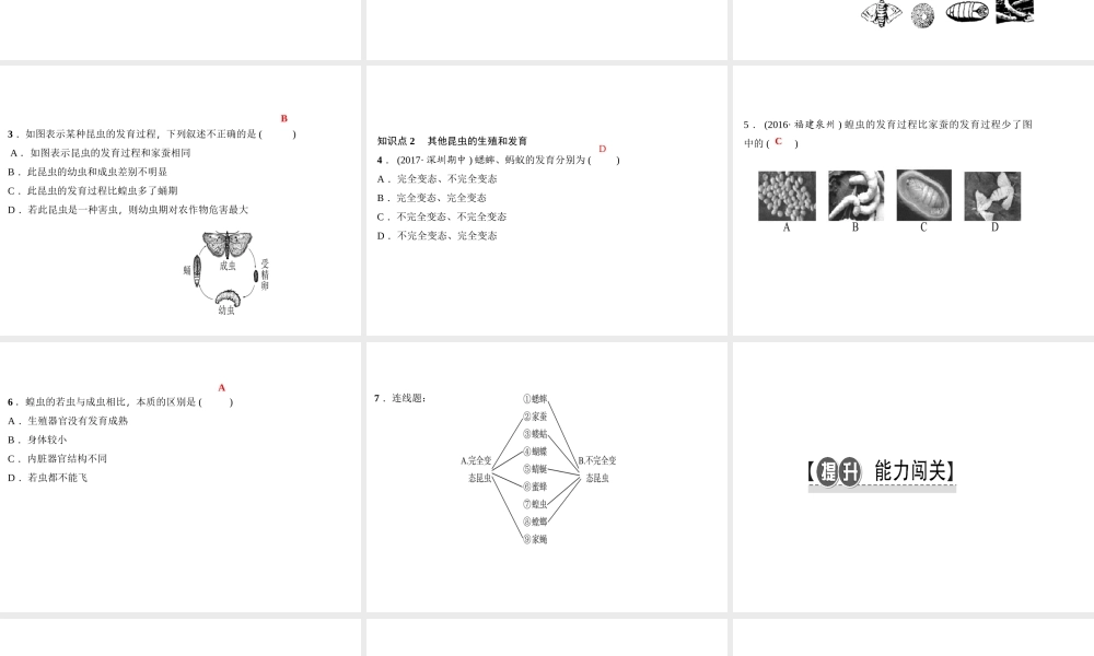 八年级生物下册 7.1.2昆虫的生殖和发育课件 （新版）新人教版-（新版）新人教级下册生物课件