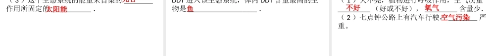 八年级生物下册 第八单元 第24章 人与环境综合检测课件 （新版）北师大版-（新版）北师大版初中八年级下册生物课件