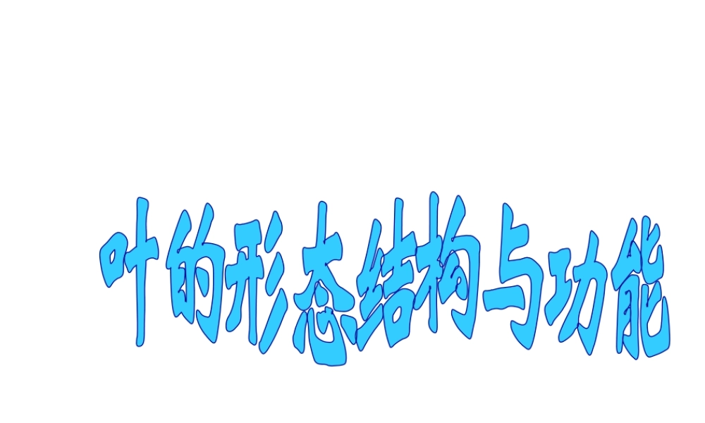 八年级生物下册 第4章 生物的类群 4.1 植物-叶的结构与功能课件 沪教版-沪教级下册生物课件