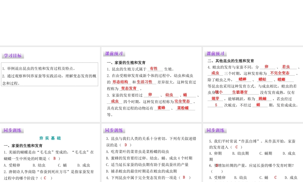 八年级生物下册 7.1.2昆虫的生殖和发育课件（新版）新人教版-（新版）新人教版初中八年级下册生物课件