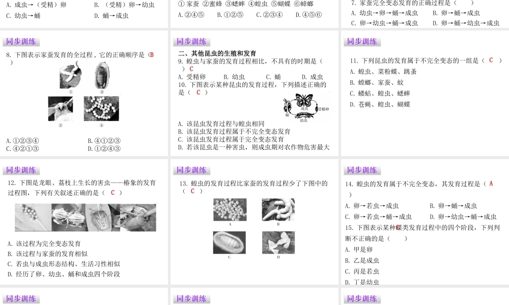 八年级生物下册 7.1.2昆虫的生殖和发育课件（新版）新人教版-（新版）新人教版初中八年级下册生物课件