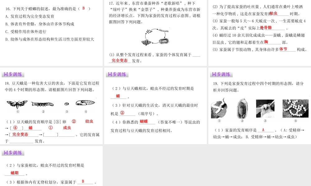 八年级生物下册 7.1.2昆虫的生殖和发育课件（新版）新人教版-（新版）新人教版初中八年级下册生物课件