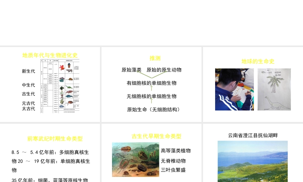 八年级生物下册 第21章 第2节 生物的进化（第2课时）课件 北师大版-北师大级下册生物课件