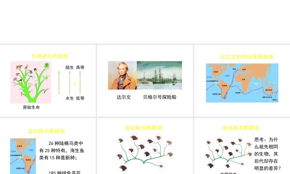 八年级生物下册 第21章 第2节 生物的进化（第3课时）课件 北师大版-北师大版初中八年级下册生物课件