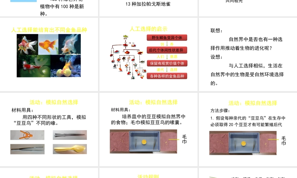 八年级生物下册 第21章 第2节 生物的进化（第3课时）课件 北师大版-北师大版初中八年级下册生物课件