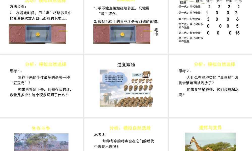 八年级生物下册 第21章 第2节 生物的进化（第3课时）课件 北师大版-北师大版初中八年级下册生物课件