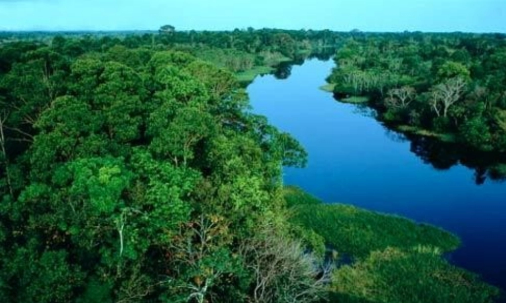 八年级生物下册 第4章 生物的类群 4.1 植物—植物的基本类群课件 沪教版-沪教版初中八年级下册生物课件