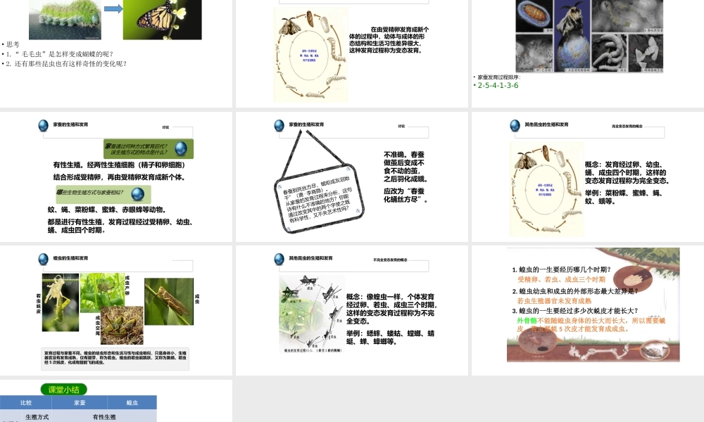 八年级生物下册 7.1.2昆虫的生殖和发育课件1 （新版）新人教版-（新版）新人教版初中八年级下册生物课件