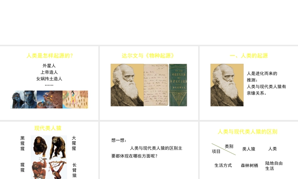 八年级生物下册 第21章 第3节 人类的起源与进化（第1课时）课件 北师大版-北师大版初中八年级下册生物课件