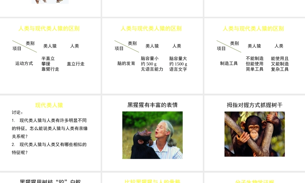 八年级生物下册 第21章 第3节 人类的起源与进化（第1课时）课件 北师大版-北师大级下册生物课件