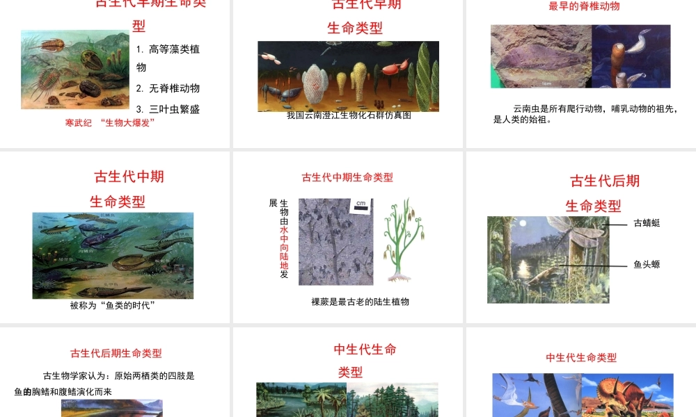 八年级生物下册 第21章 第2节 生物的进化课件 北师大版