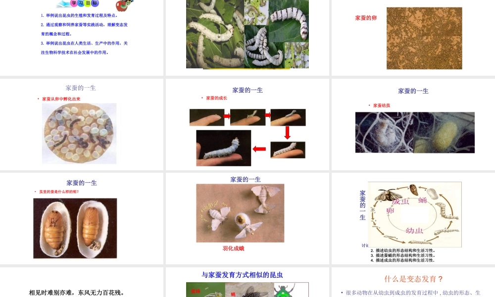 八年级生物下册 7.1.2昆虫的生殖和发育课件2 （新版）新人教版-（新版）新人教版初中八年级下册生物课件