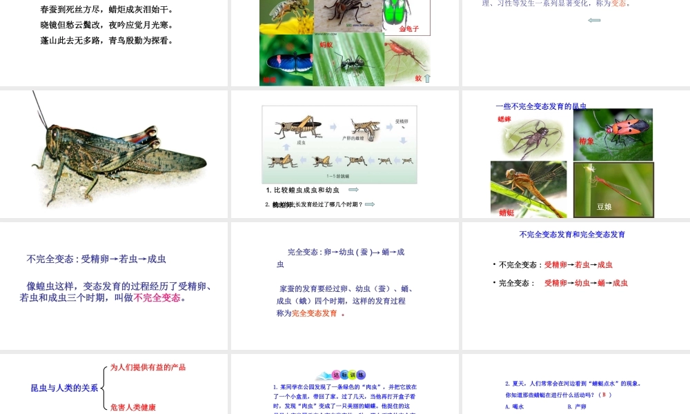 八年级生物下册 7.1.2昆虫的生殖和发育课件2 （新版）新人教版-（新版）新人教版初中八年级下册生物课件