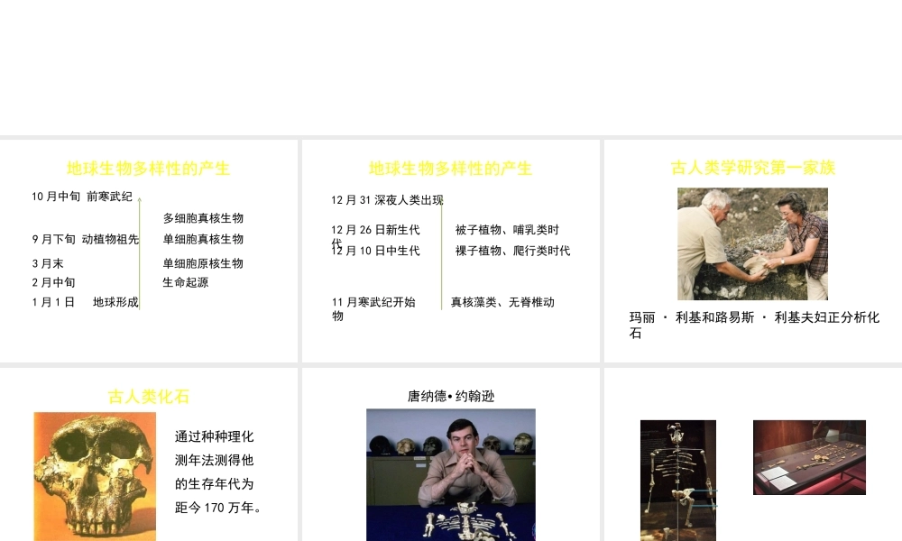 八年级生物下册 第21章 第3节 人类的起源与进化（第2课时）课件 北师大版-北师大版初中八年级下册生物课件