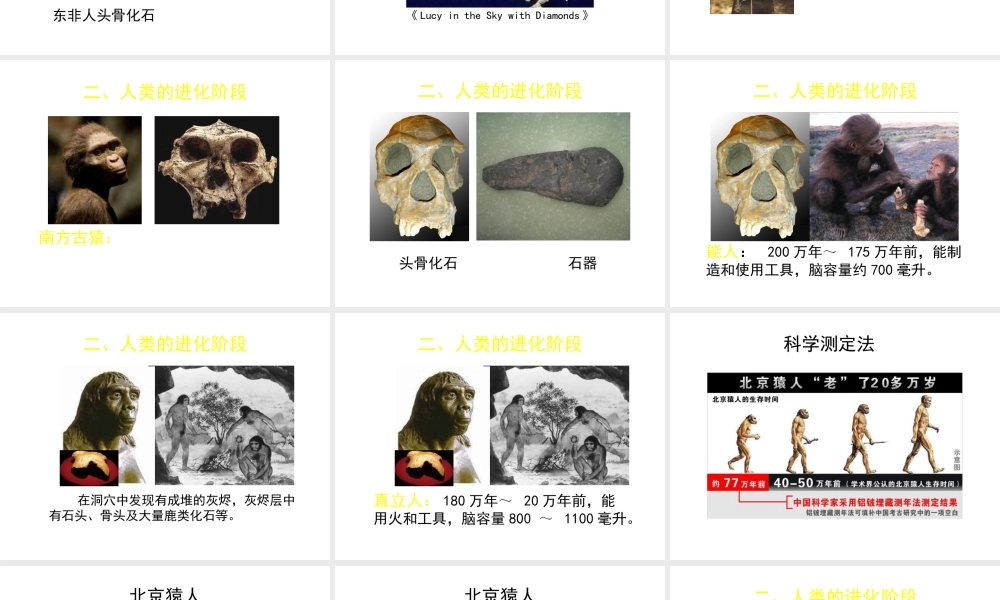 八年级生物下册 第21章 第3节 人类的起源与进化（第2课时）课件 北师大版-北师大版初中八年级下册生物课件