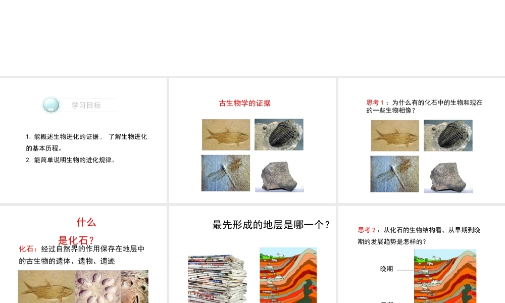 八年级生物下册 第21章 第2节《生物的进化》课件 北师大版