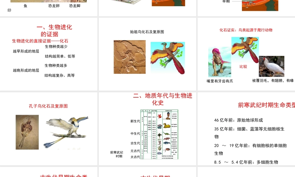 八年级生物下册 第21章 第2节《生物的进化》课件 北师大版