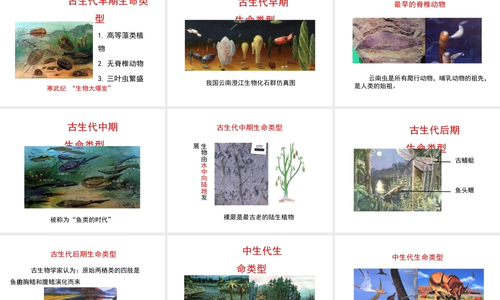 八年级生物下册 第21章 第2节《生物的进化》课件 北师大版