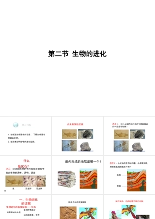 八年级生物下册 第21章 第2节《生物的进化》课件 北师大版